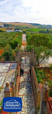 🏡 **OPORTUNIDAD ÚNICA PARA INVERSORES – FINCA CON GRAN POTENCIAL EN ARCOS DE LA FRONTERA** 🌿 photo 0