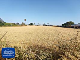 PARCELA RUSTICADE 7.500M2 EN GUADALCACÍN photo 0