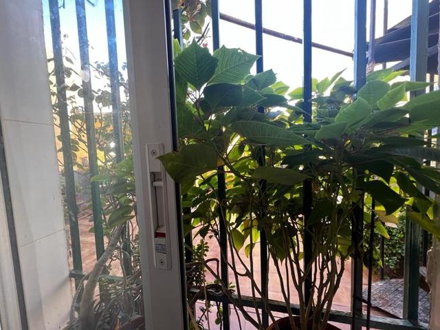 Se vende primer piso en Santa Ana pueblo (Cartagena) photo 0