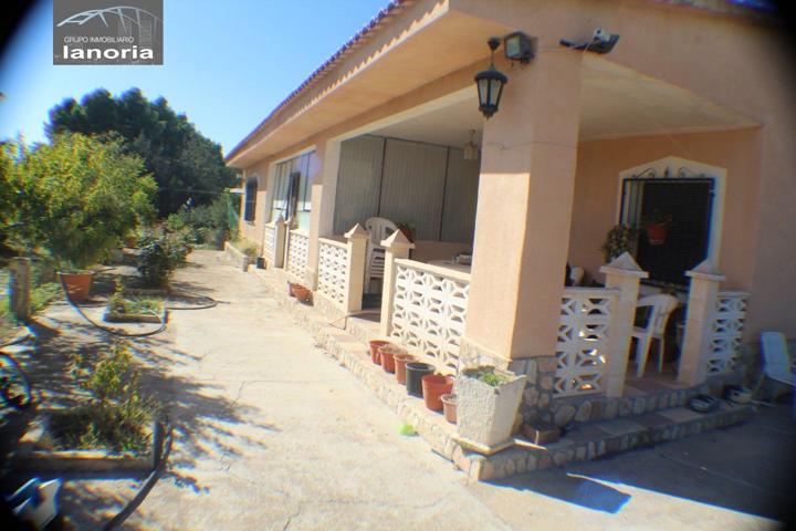 la noria vende magnifica parcela a 1km albacete, ideal para vivir todo el año, declarado todo photo 0