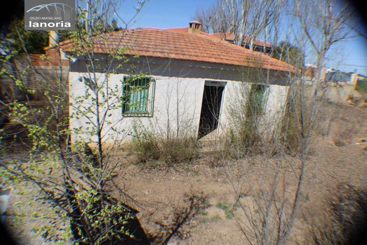 GRUPO LA NORIA VENDE PARCELA CERCA DE ALBACETE LEGALIZADA CON AGUA, LUZ, photo 0