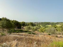 Exclusiva parcela en La Reserva de Sotogrande photo 0