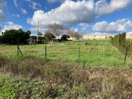 Parcela rústica proindivisa de 1000 metros en Los Barrios photo 0