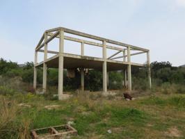 Finca rústica en Bunyola con vivienda en construcción photo 0