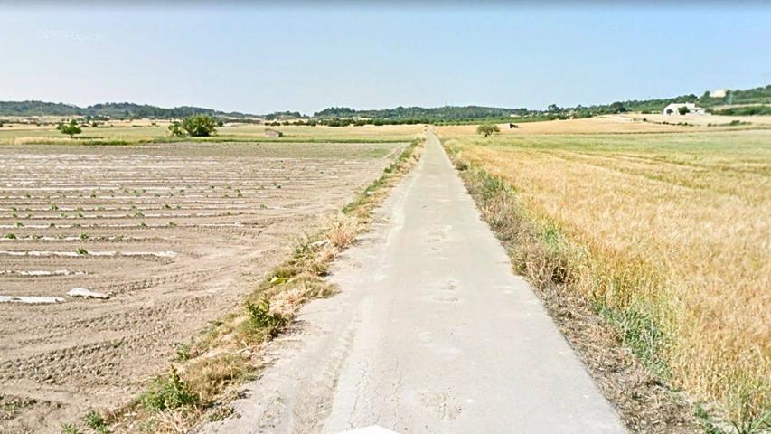 Exclusivo solar rústico en Mallorca con Licencia de Ejecución y pozo propio – Listo para construir photo 0