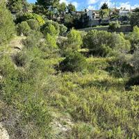 Terreno en Galilea en venta photo 0