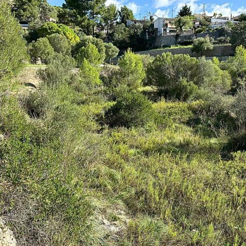 Terreno en Galilea en venta photo 0