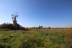 SA CASA BLANCA (PALMA): FINCA RUSTICA CON TERRENO DE 39.000 M2669 M2 CONSTRUIDOS Y MOLINO! photo 0