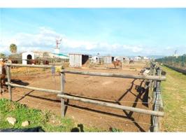S´ARANJASSA! FINCA CON ESTABLOS Y CONSTRUCCION DE MOLINO! photo 0