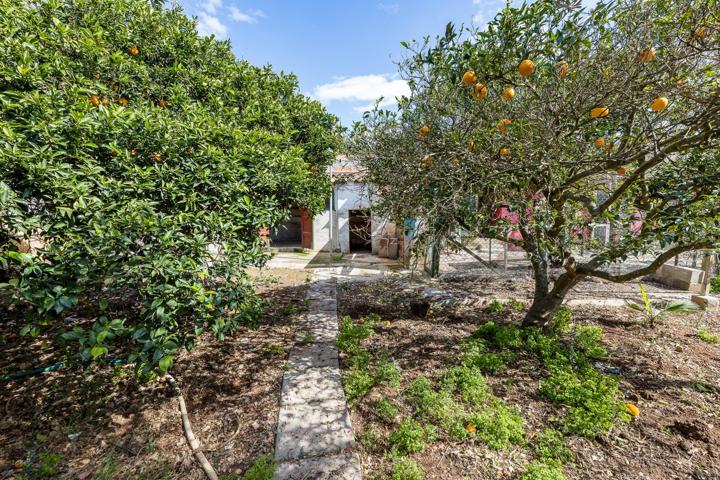SA CASA BLANCA: FINCA RUSTICA EN CONDOMINIO photo 0