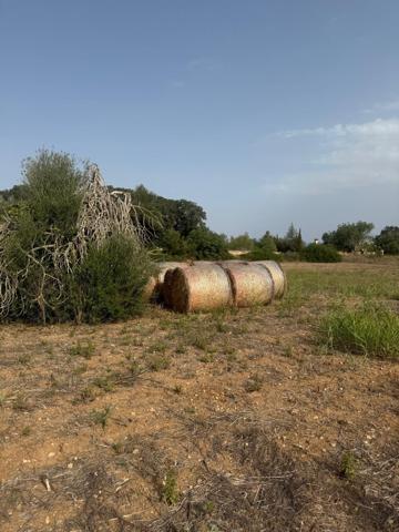 TERRENO RÚSTICO EN SINEU DE 21.300 M2 CON PROYECTO photo 0