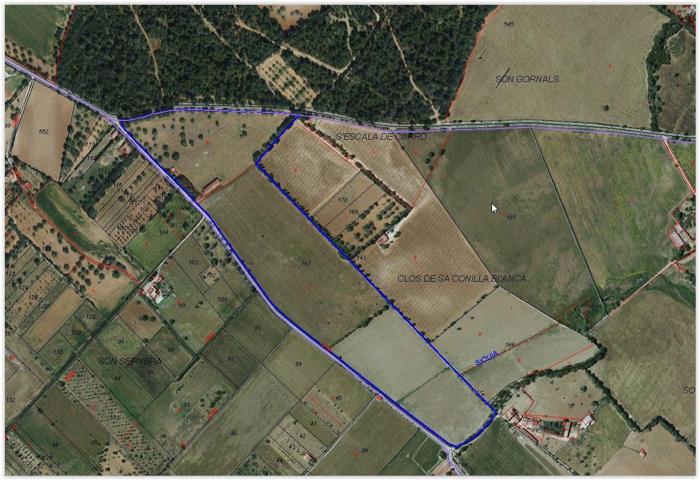 Gran finca rústica en Porreres photo 0