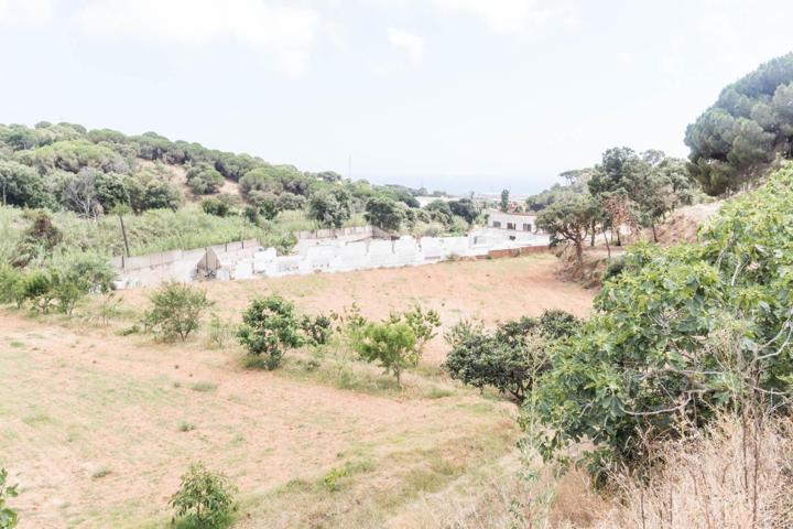 Venta de dos fincas rústicas en Mataró, cerca de la autopista photo 0