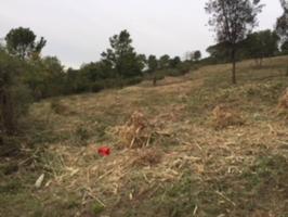 A seis kilómetros del pueblo de Sant Celoni photo 0
