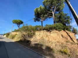 A siete kilómetros del pueblo de Sant Celoni photo 0