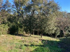 Terreno en venta en Gualba photo 0