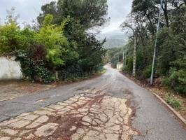 A seis kilómetros del pueblo de Sant Celoni photo 0