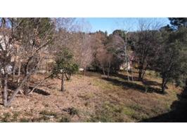 A seis kilometros de Sant Celoni photo 0