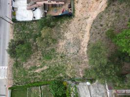 A siete kilometros de Sant Celoni photo 0