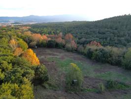 Finca Rústica en el Montseny photo 0