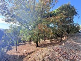 Terreno en venta en Riells i Viabrea photo 0