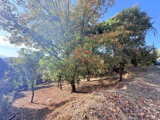 Terreno en venta en Riells i Viabrea photo 0