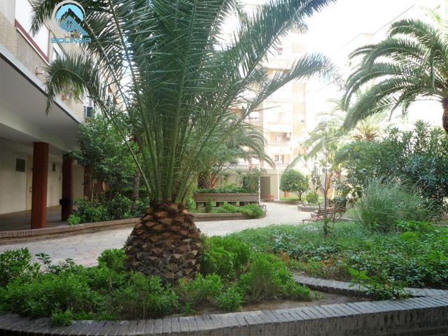 Se Vende piso de 3 habitaciones en zona Centro, con amplios jardines comunes. Plaza de Garaje. photo 0