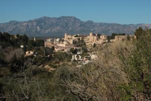 EN VENTA TERRENO URBANO EN SANT JOSEP DE LA MUNTANYA photo 0