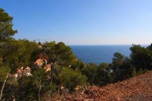SE VENDE PARCELA CON VISTA AL MAR EN JAVEA EN BALCON AL MAR photo 0