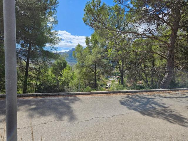 Parcela urbanizable a la venta en Alcalalí: una inversión con gran potencial. photo 0