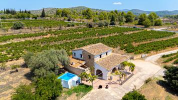 Refugio de piedra y uvas - Auténtica finca mediterránea para alquilar a largo plazo en Benissa photo 0