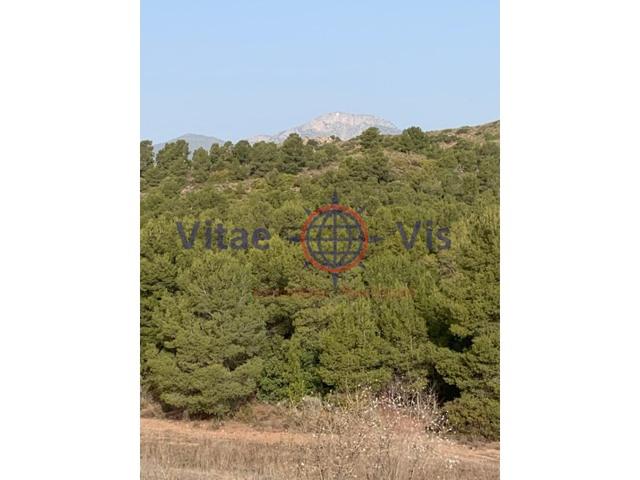 Terreno Urbanizable En venta en Aviles, Lorca photo 0