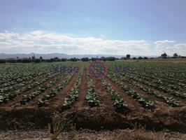 Otro En venta en Aguaderas, Lorca photo 0