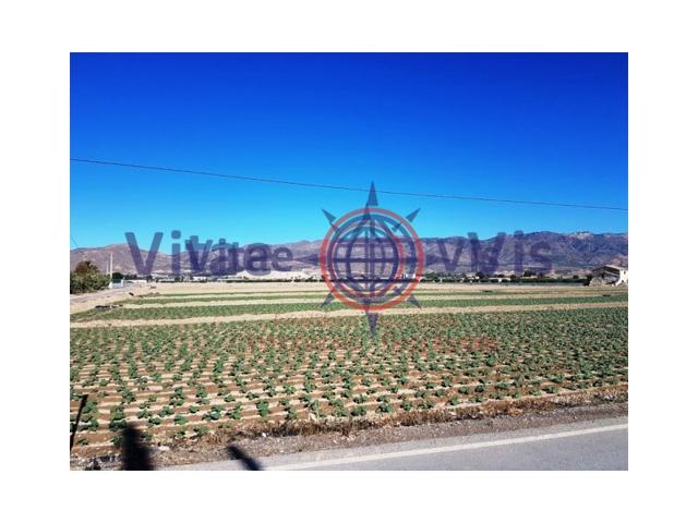Terrenos Edificables En venta en Pulgara, Lorca photo 0