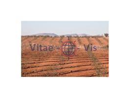 Otro En venta en Aviles, Lorca photo 0