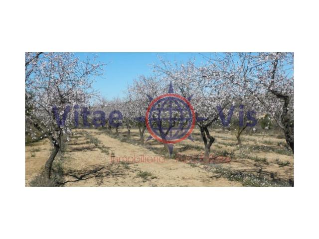 Terreno Urbanizable En venta en Aviles, Lorca photo 0