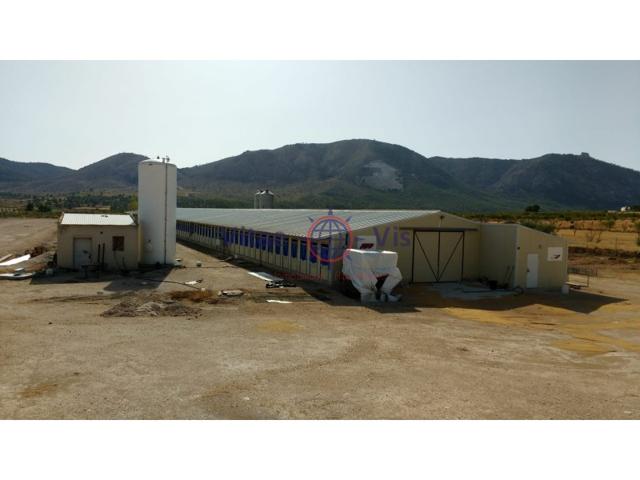 Otro En venta en Aviles, Lorca photo 0