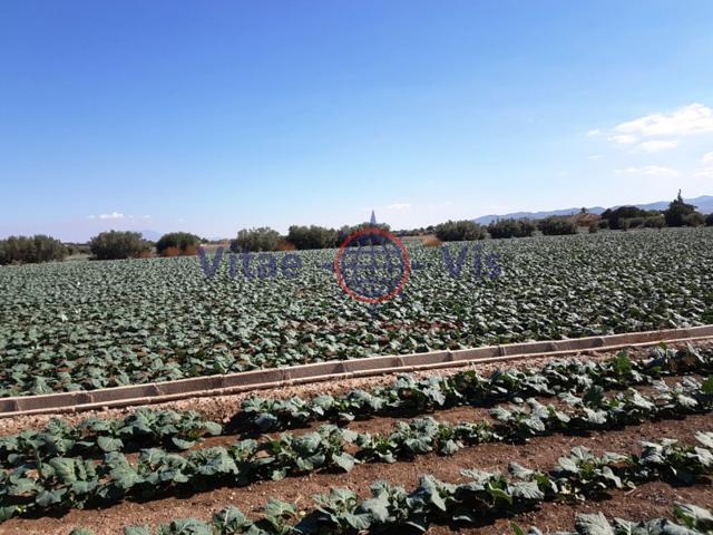 Terrenos Edificables En venta en Lorca photo 0