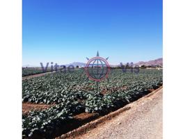 Terrenos Edificables En venta en Cazalla, Lorca photo 0