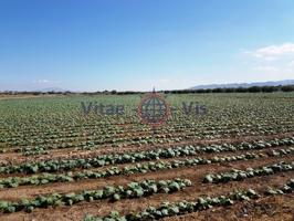 Terrenos Edificables En venta en Campillo, Lorca photo 0