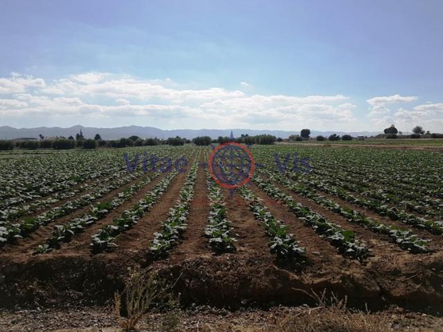 Terreno Urbanizable En venta en Tercia, Lorca photo 0