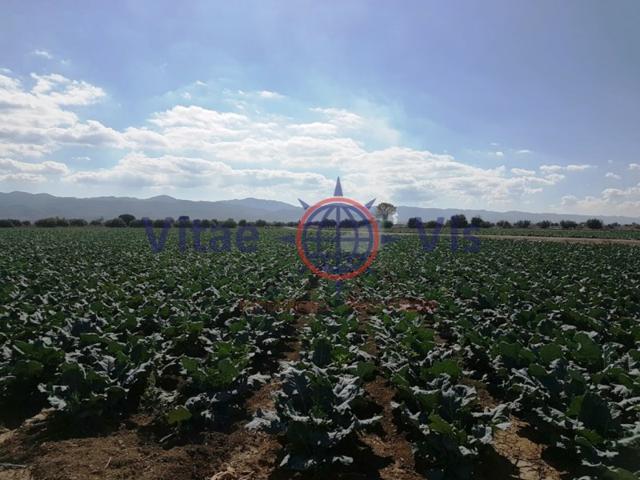 Terreno Urbanizable En venta en La Hoya, Lorca photo 0