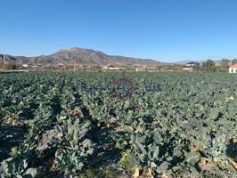 Terrenos Edificables En venta en Lorca photo 0