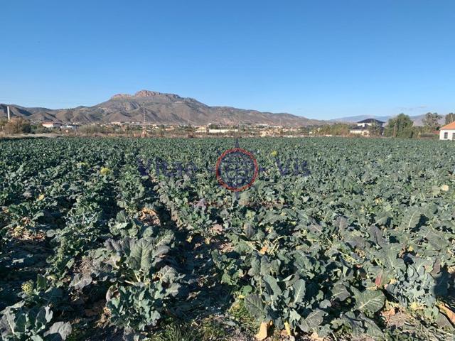 Terrenos Edificables En venta en Lorca photo 0