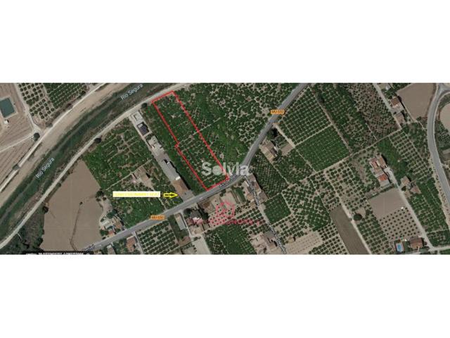 Terreno Urbanizable En venta en Alquerías, Murcia photo 0