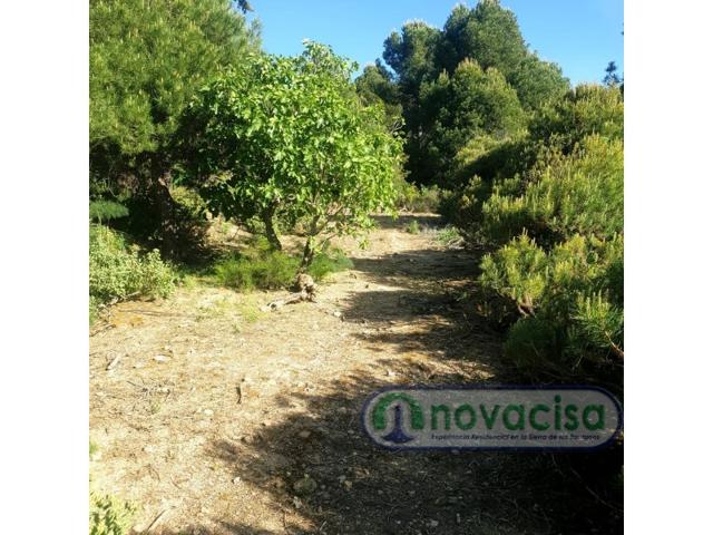 Otro En venta en San Martín De Valdeiglesias photo 0