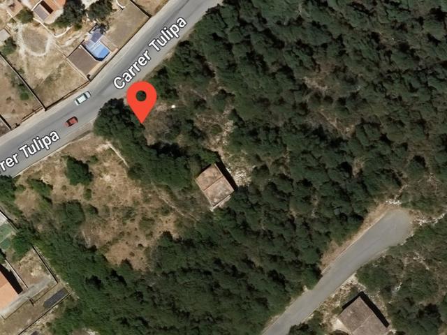 Terreno Urbanizable En venta en Torrelles De Foix photo 0