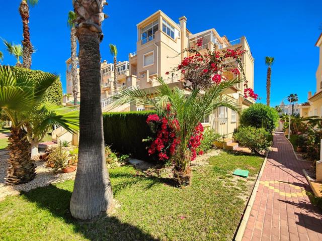 Bungalow bajo orientado al SUR con aparcamiento y piscina en Playa Flamenca!!! photo 0