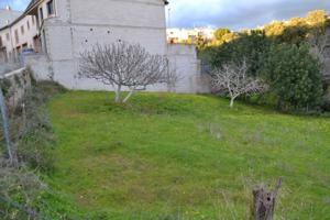 Solar urbanizable en Campanet photo 0