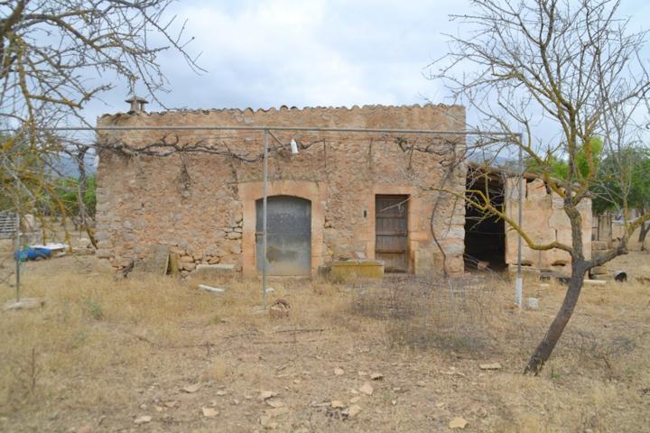 Magnifica finca en Campanet photo 0
